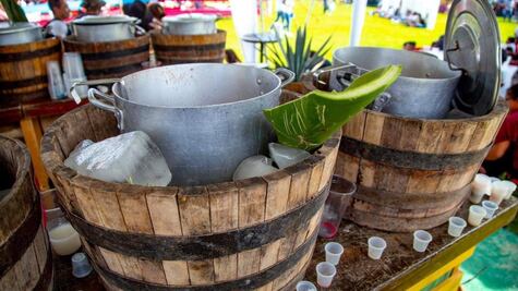 Qué habrá en el Festival del Pulque en la CDMX