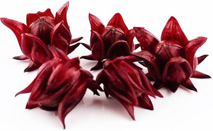 Mexican students create makeup line made from hibiscus