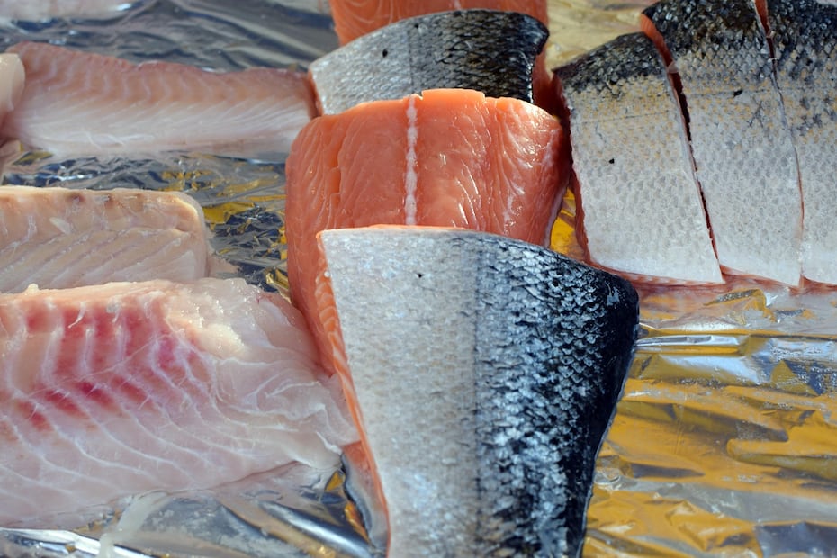 El pescado le encantará a tu michi, solo no olvides dárselo cocido y sin huesos o espinas. Foto: Canva