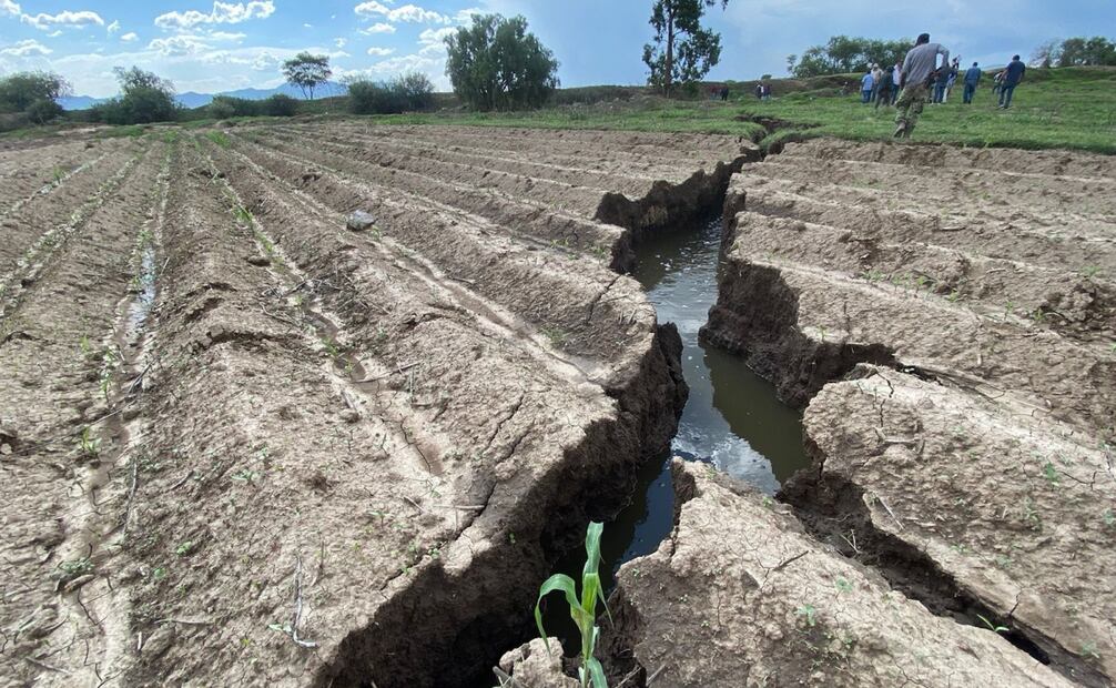 Especialistas de la Comisión Nacional del Agua, de la Secretaría del Medio Ambiente y Recursos Naturales, así como del Instituto Mexicano de Tratamiento del Agua, analizarán las causas de lo ocurrido para después elaborar un plan de restauración en el sitio. Foto Especial