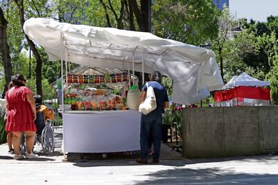 “Baja ambulantaje 41% en el Centro”