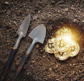 Secuestran a abogada en Chihuahua; piden recompensa en bitcoins