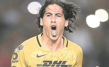 Rugido puma en la selva