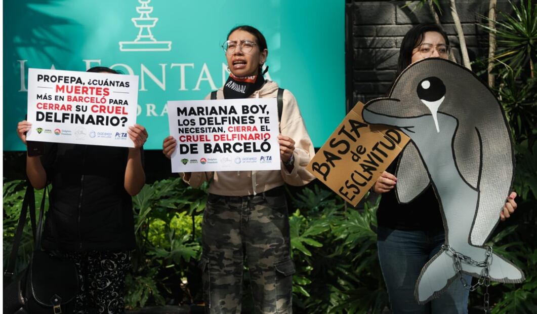 Activistas en Barceló Reforma pidieron a la titular de la Profepa cerrar el delfinario de Barceló Riviera Maya, tras el maltrato que se observa en un video que circuló en redes sociales. Foto: Carlos Mejía/EL UNIVERSAL