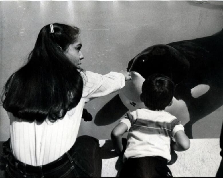 Keiko, la desafortunada historia de la única ballena amaestrada en México