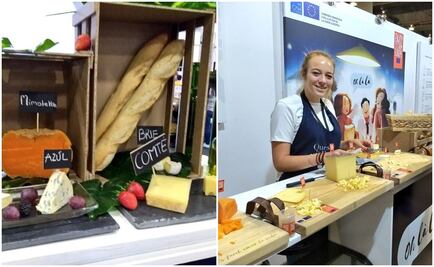 Cerveza, queso y vino tienen mayor presencia en Sirha México