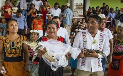 Alcalde mexicano se casa con caimán en ritual ancestral