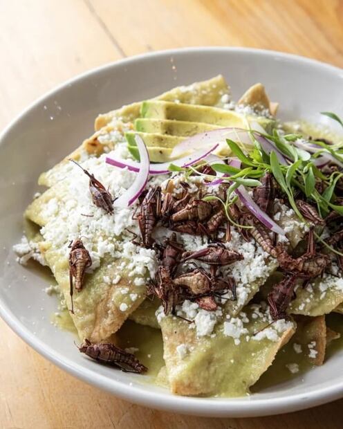 7 chilaquiles en CDMX que tienes que probar