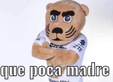 Pumas sufrió la segunda derrota del torneo y la afición se manifestó con los mejores memes