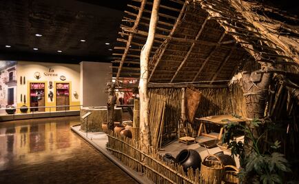 Cráneos y preservativos, la oferta de los museos más visitados del mundo