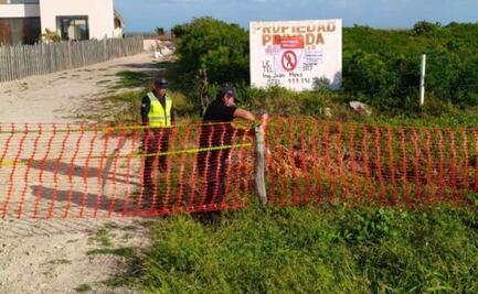 Clausuran proyecto inmobiliaria en Yucatán por daños en duna costera; acusan permisos irregulares