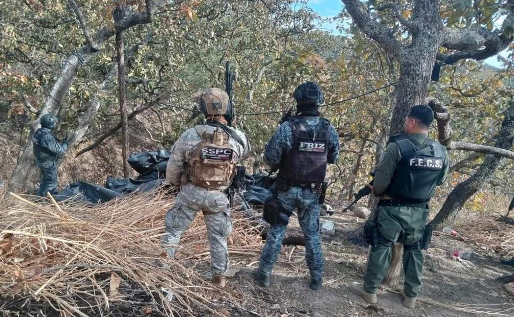 Destruyen narcocampamento en otro municipio de Zacatecas (04/03/2025). Foto: Especial