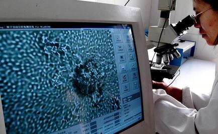 Producen esperma de ratón en el laboratorio