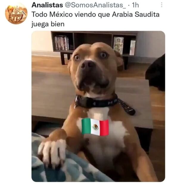 Qatar 2022: Los memes que dejó la histórica victoria de Arabia Saudita sobre Argentina 