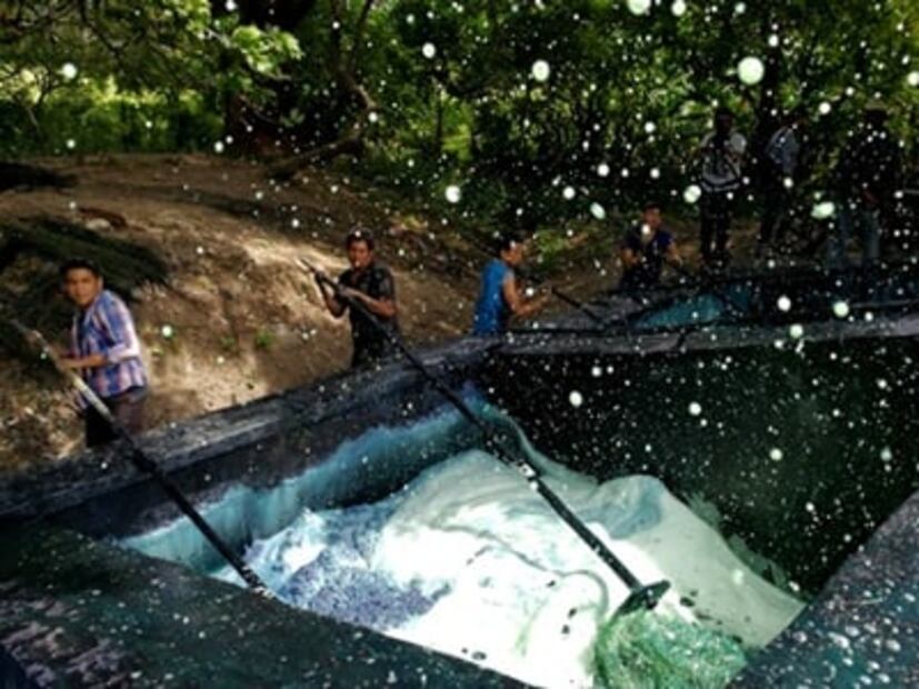 Los últimos guardianes que conservan el azul añil en Oaxaca