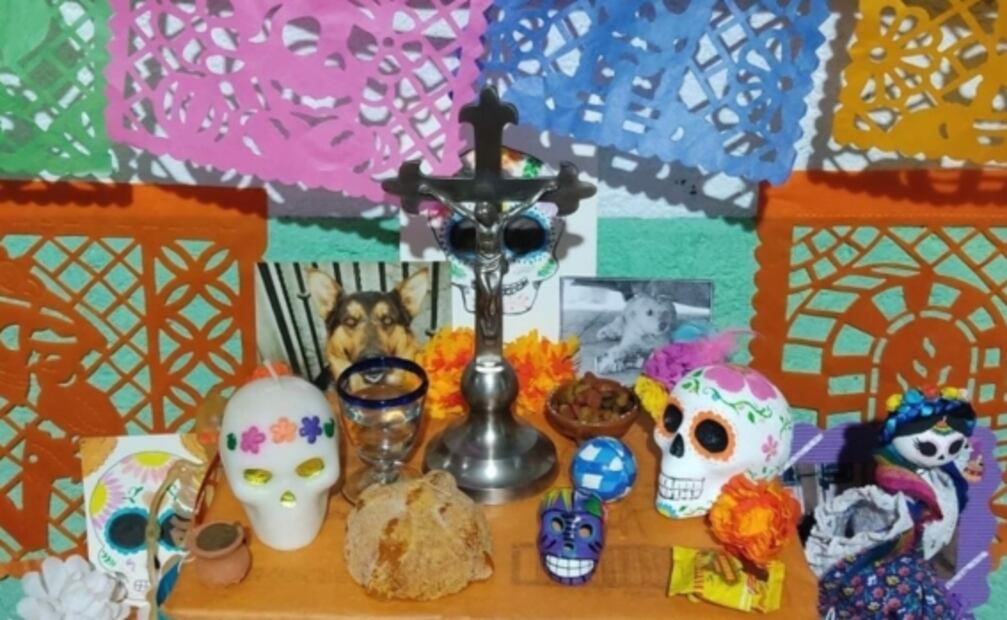 Día de Muertos para mascotas: recuerdan a sus perritos en Neza