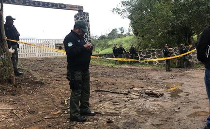 Catean rancho y localizan 100 reses robadas en Veracruz