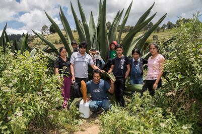 ¿Desaparece la tradición del pulque en Milpa Alta?