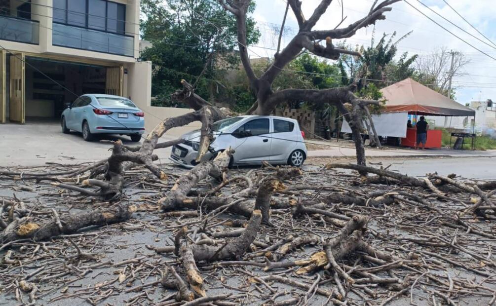 Reportan apagones y caída de árboles en Yucatán por fuertes vientos (02/04/2025). Foto: Especial