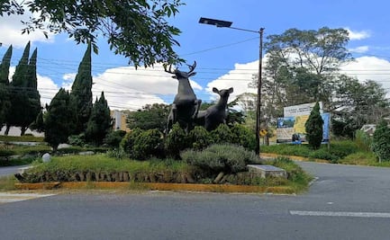 Avanza rescate del Parque de los Ciervos en  Atizapán de Zaragoza