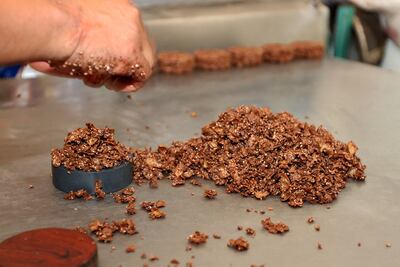 Amaranto, herencia ancestral de la agricultura mexicana