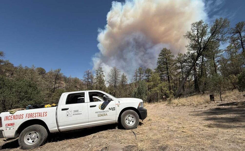 Brigadistas y autoridades de Protección Civil combaten incendio forestal en Agua Prieta, Sonora (20/06/2025). Foto: Protección Civil Sonora