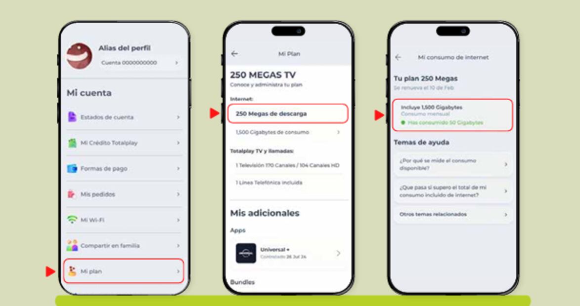 ¿Cómo puedes revisar tu consumo de datos? (03/04/2025) Foto: Captura de pantalla