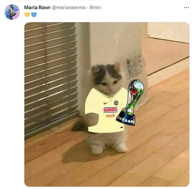 Memes de la derrota de América ante Atlético de San Luis
