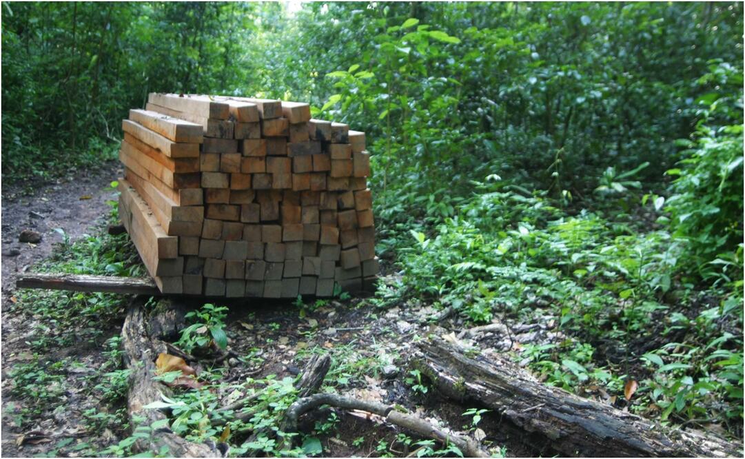 Foto: Archivo / EL UNIVERSAL