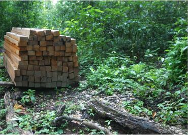 Conafor lleva tecnología alemana al sector forestal