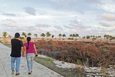 En riesgo, plan para parque por desmonte en Tajamar