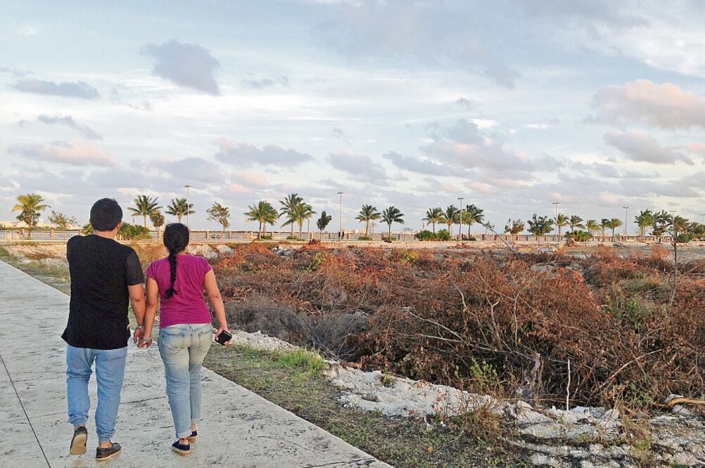 El plan no se había desarrollado pues estaba en etapa de gestión de recursos para habilitar el espacio respetando el manglar (ADRIANA VARILLAS. EL UNIVERSAL)