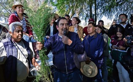 Entregarán apoyos a 162 productores de romeritos en Tláhuac