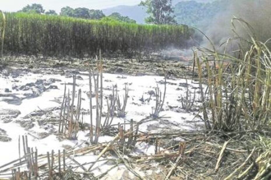 Ordeña en ducto de Pemex deja un muerto y cinco heridos