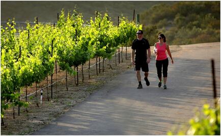 Un santuario para moldear el cuerpo y encontrar el equilibrio mental