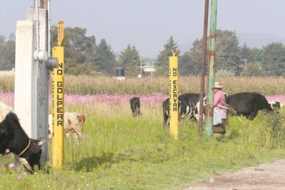 Denuncian abandono tras derrame de diesel 