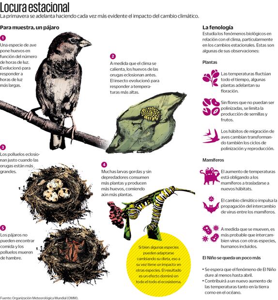 Fuente: Organización Meterológica Mundial
