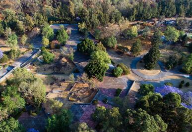 Buscan que Chapultepec sea una de las áreas de valor ambiental más importantes en CDMX