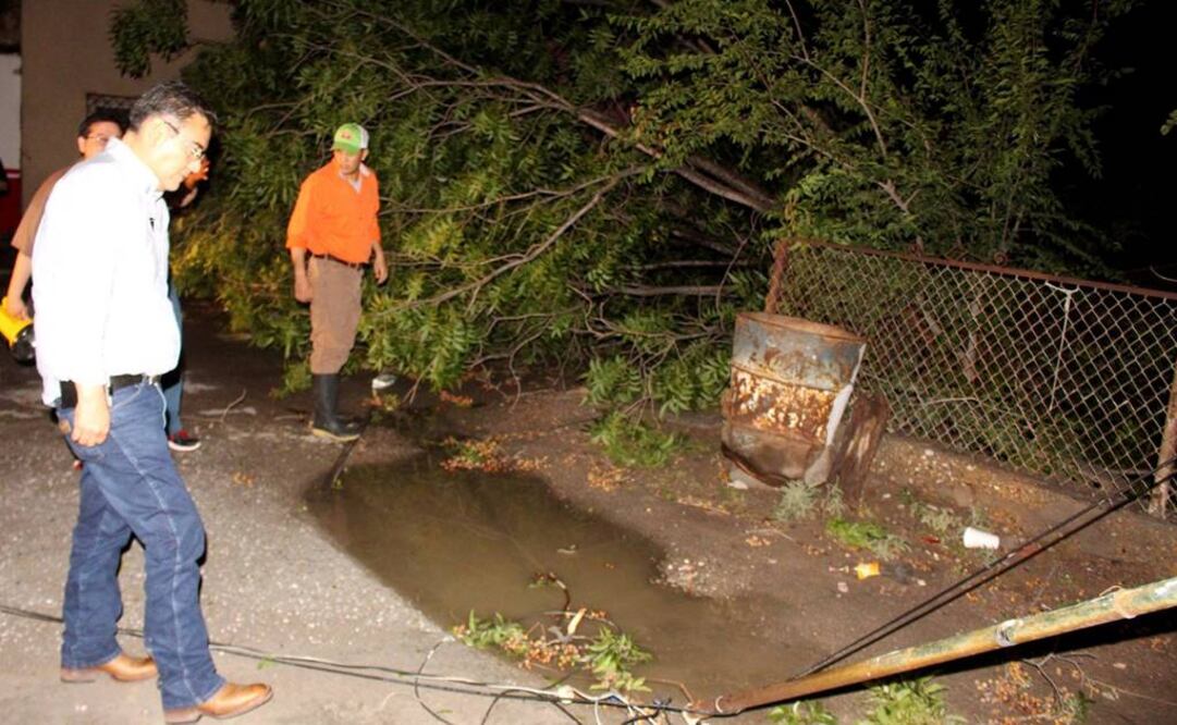 Foto: Tomada de Facebook Gobierno Municipal de Sabinas