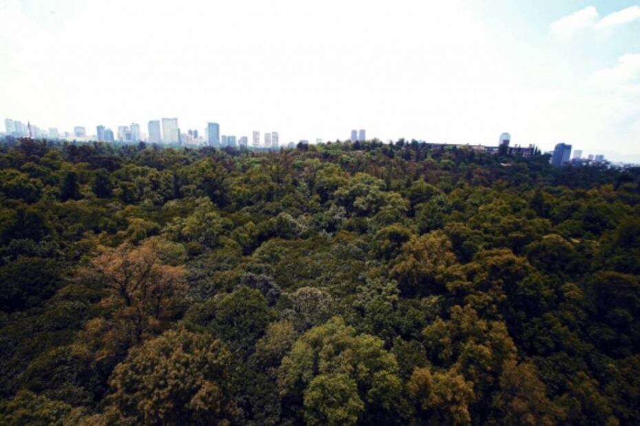 Nueva Cineteca en CDMX: todos los servicios e instalaciones que promete tener