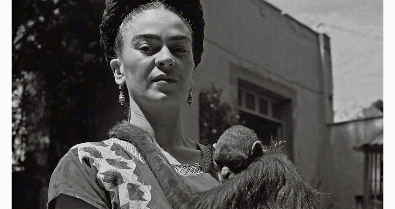 FOTOS: Cinépolis distribución, Pimienta films, Artegios y Netflix