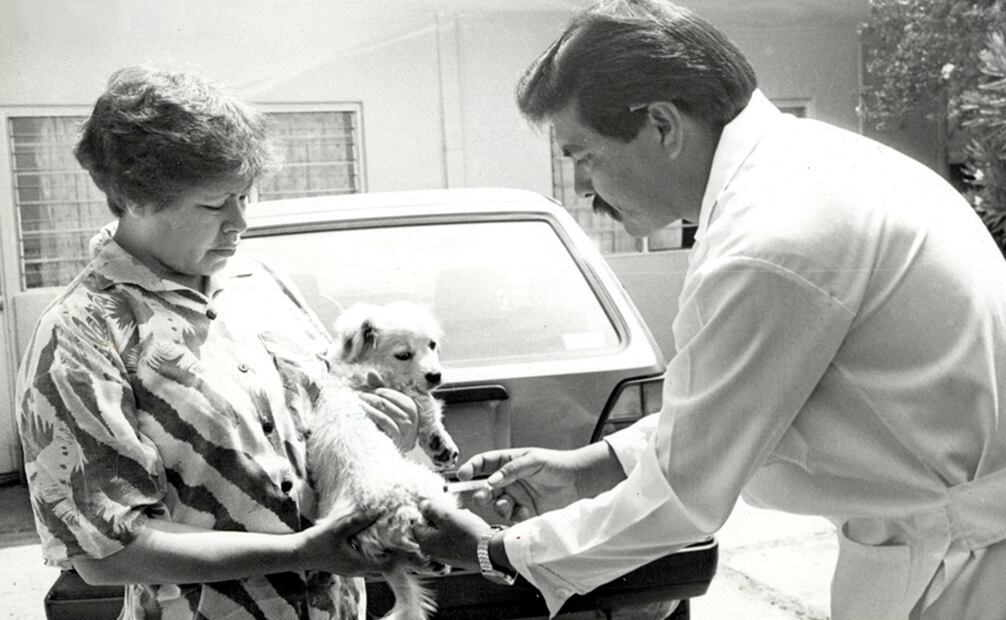 Empleados de salubridad recorrían varias localidades para vacunar a caninos contra la rabia. Según un artículo de EL UNIVERSAL ILUSTRADO del 14 de noviembre de 1935, la disponibilidad de fármacos de manejo peligroso se restringió durante los primeros años del siglo XX, y la vacuna contra la rabia era uno de esos insumos. Se supo de individuos que viajaron desde lugares remotos hasta la capital sólo para ser vacunados contra el virus. Foto: Archivo EL UNIVERSAL/Juan Carlos Buenrostro.