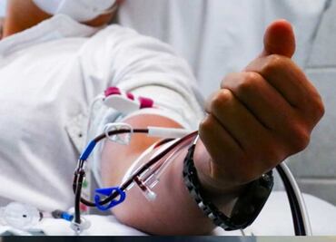 Conave emite Aviso Epidemiológico de Rabia Humana por varios casos registrados; el último en Sonora