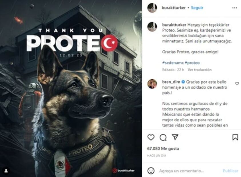 Turquía y los agradecimientos a Proteo, perro rescatista de México 