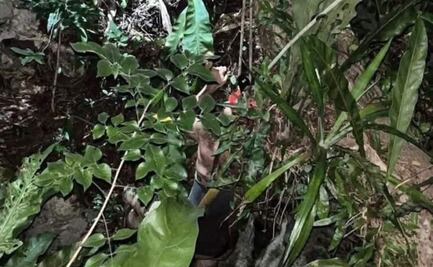 Rescatan a estudiante de la UNAM atrapado en un cenote de Yucatán; formaba parte de una exploración científica