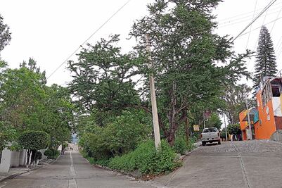 Empresas ligadas a Núñez, con domicilio en lote baldío