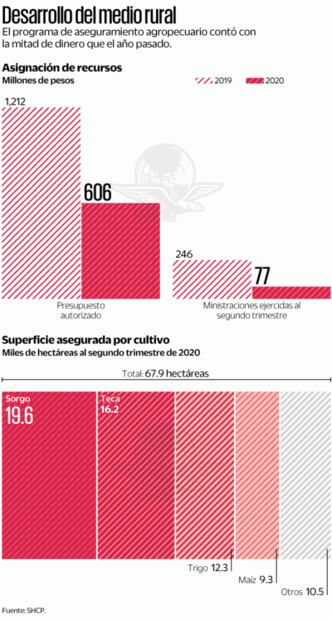 Austeridad de la 4T deja sin seguros a sector agropecuario