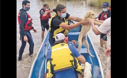 Pega lluvia a cientos en Jalisco y Guanajuato