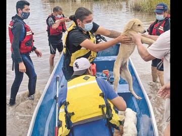 Pega lluvia a cientos en Jalisco y Guanajuato