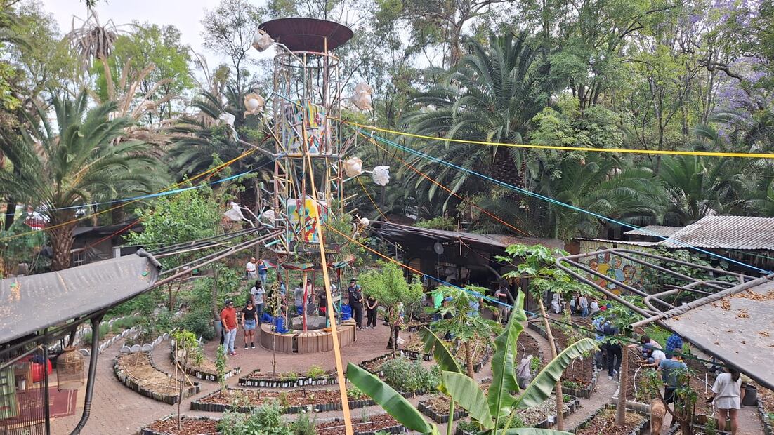 Huerto Roma Verde, un espacio para la educación ambiental
